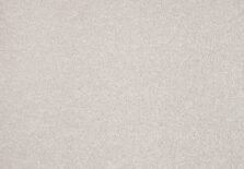 Lounge 890 Snow carpet by SmartStrand