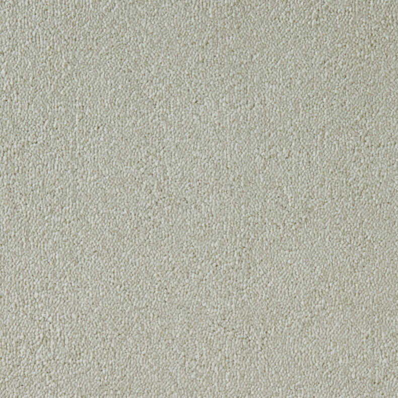Elysian Velvet Collection Abalone carpet by Westex