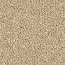 Ultima Twist Collection Alabaster carpet by Westex