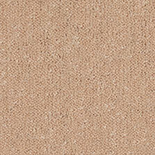 Ultima Twist Collection Almond carpet by Westex
