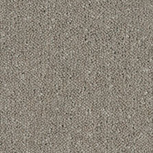 Ultima Twist Collection Aloe carpet by Westex