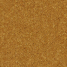 Ultima Twist Collection Antique Gold carpet by Westex