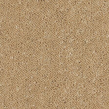 Ultima Twist Collection Autumn Dawn carpet by Westex
