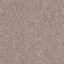 Ultima Twist Collection Bark carpet by Westex
