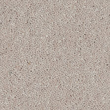 Ultima Twist Collection Biscuit carpet by Westex