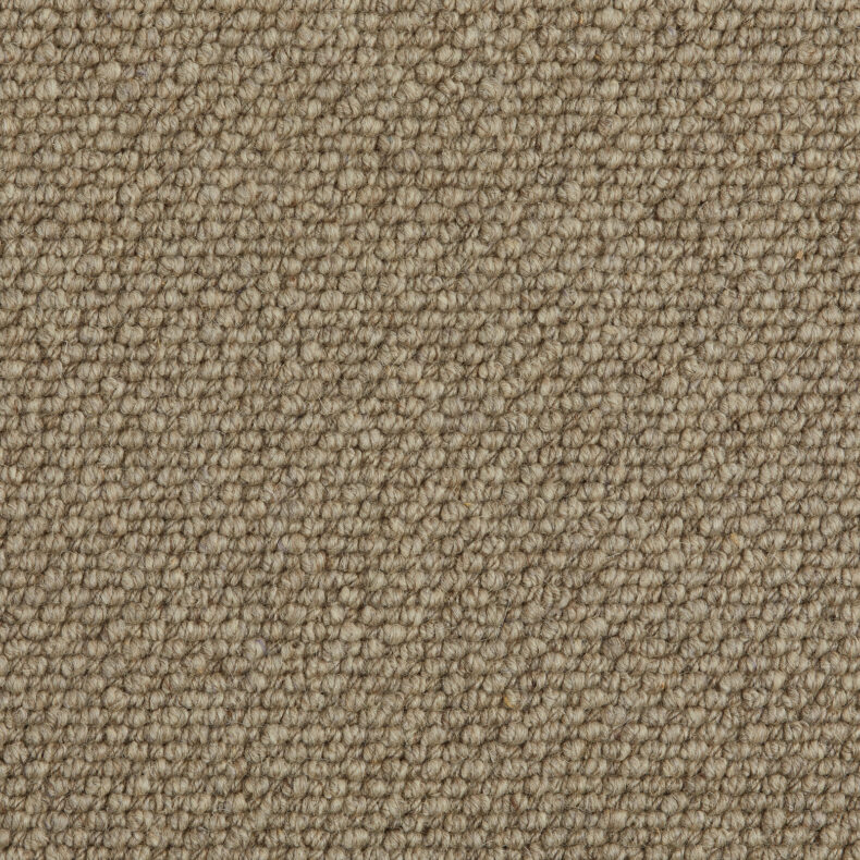 Butterwick Wool Loop Bobcat carpet by Westex
