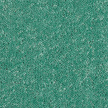 Ultima Twist Collection Bonsai carpet by Westex