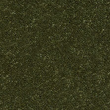 Ultima Twist Collection Bottle Green carpet by Westex