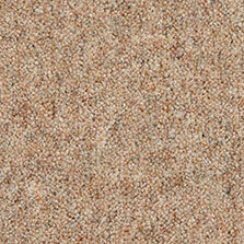 Ultima Twist Collection Bracken carpet by Westex