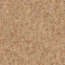 Ultima Twist Collection Brandysnap carpet by Westex