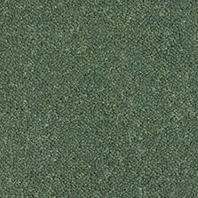 Ultima Twist Collection Broom carpet by Westex