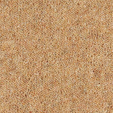 Ultima Twist Collection Buff carpet by Westex
