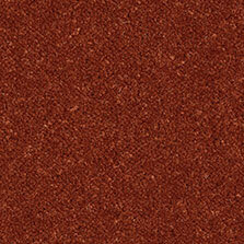 Ultima Twist Collection Burnt Orange carpet by Westex