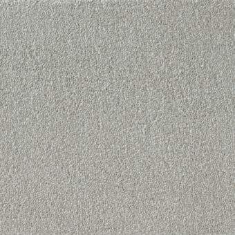 Elysian Velvet Collection Canvas carpet by Westex