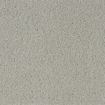 Fired Earth Hebble Twist Canvas carpet by Westex