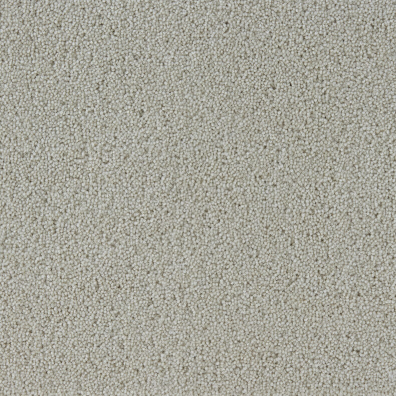 Fired Earth Hebble Twist Canvas carpet by Westex