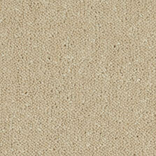 Ultima Twist Collection Celeriac carpet by Westex