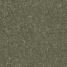 Ultima Twist Collection Clover carpet by Westex