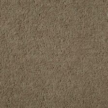 Ultima Twist Collection Cookie Mix carpet by Westex