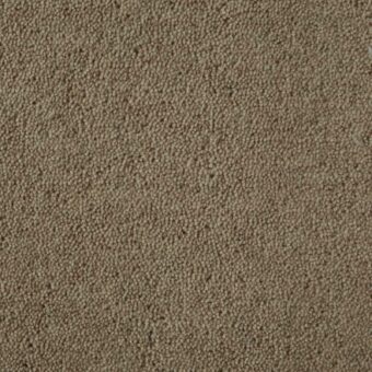 Ultima Twist Collection Cookie Mix carpet by Westex