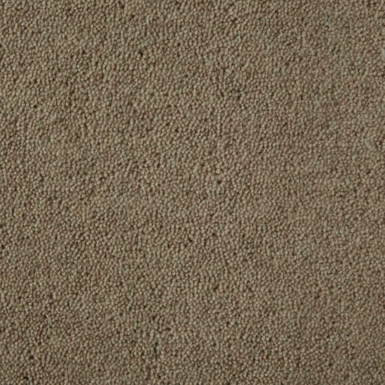 Ultima Twist Collection Cookie Mix carpet by Westex
