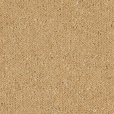 Ultima Twist Collection Cornsilk carpet by Westex
