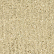 Ultima Twist Collection Cream carpet by Westex