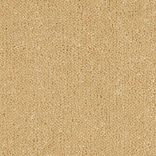Ultima Twist Collection Dijon carpet by Westex