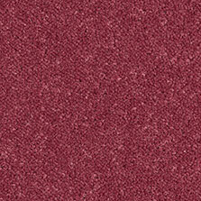 Ultima Twist Collection Dogwood carpet by Westex