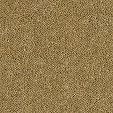 Ultima Twist Collection Eucalyptus carpet by Westex