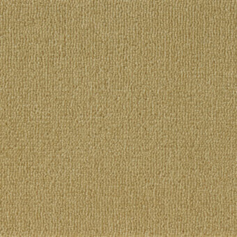 Fired Earth Wiske Velvet Goldfinch carpet by Westex