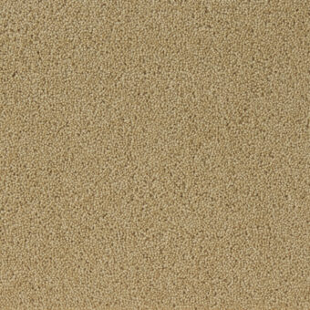 Fired Earth Hebble Twist Goldfinch carpet by Westex