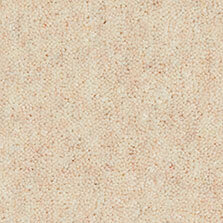 Ultima Twist Collection Grain carpet by Westex