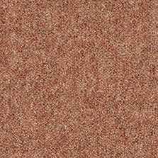 Ultima Twist Collection Highland heather carpet by Westex