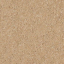 Ultima Twist Collection Honey carpet by Westex