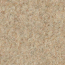 Ultima Twist Collection Hopsack carpet by Westex