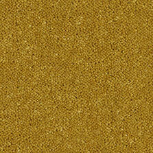 Ultima Twist Collection Jasper carpet by Westex