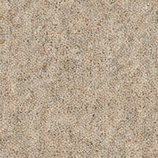 Ultima Twist Collection Kalahari carpet by Westex
