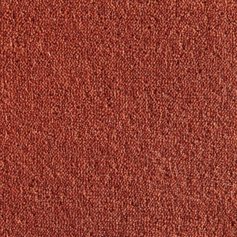 Ultima Twist Collection Koi carpet by Westex