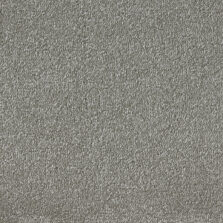 Elysian Velvet Collection Macademia carpet by Westex