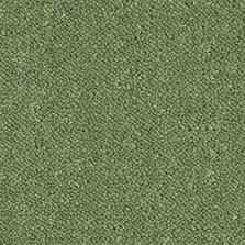 Ultima Twist Collection Mistletoe carpet by Westex