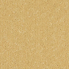 Ultima Twist Collection Nectar carpet by Westex