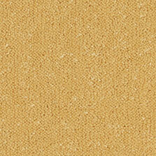 Ultima Twist Collection Ochre carpet by Westex