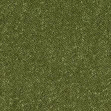 Ultima Twist Collection Olive Green carpet by Westex