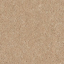 Ultima Twist Collection Pampas carpet by Westex