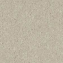 Ultima Twist Collection Pavestone carpet by Westex