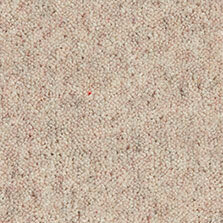Ultima Twist Collection Porridge carpet by Westex