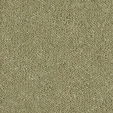 Ultima Twist Collection Sage carpet by Westex