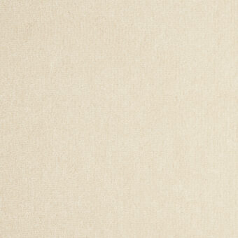 Pure Luxury Collection Sandcastle carpet by Westex