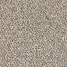 Ultima Twist Collection Sepia carpet by Westex